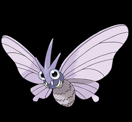 Venomoth